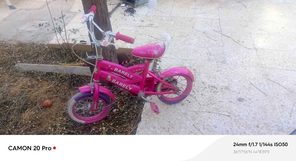 سلام عليكم باسكلات للبيع 
باسكل سمائي حجم 27 نضيف سعره 85 الف 
باسكل صغير وردي حجم 12 نضيف سعره 15 الف
سياره اطفال حلوه ونضيفه سعرها 30 الف 
المكان اربيل ملا عمر 
الاستفسار *********** أربيل, العراق
