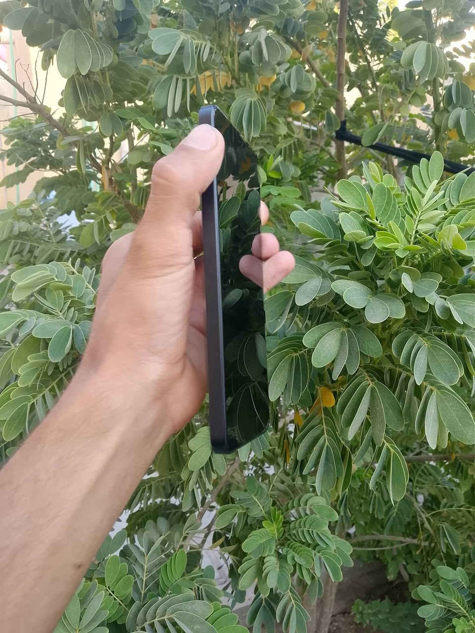 سلام عليكم
هونر x8a جهاز كلش حلو بالمس وبشحن يخبل سلاسه ميصرف ابد ذاكره 128 للبيع ويرهم مراوس


**إذا كنت صاحب هذا الإعلان وتريد حذفه لأي سبب، رجاءا أرسل رسالة إلى الدعم الفني**
