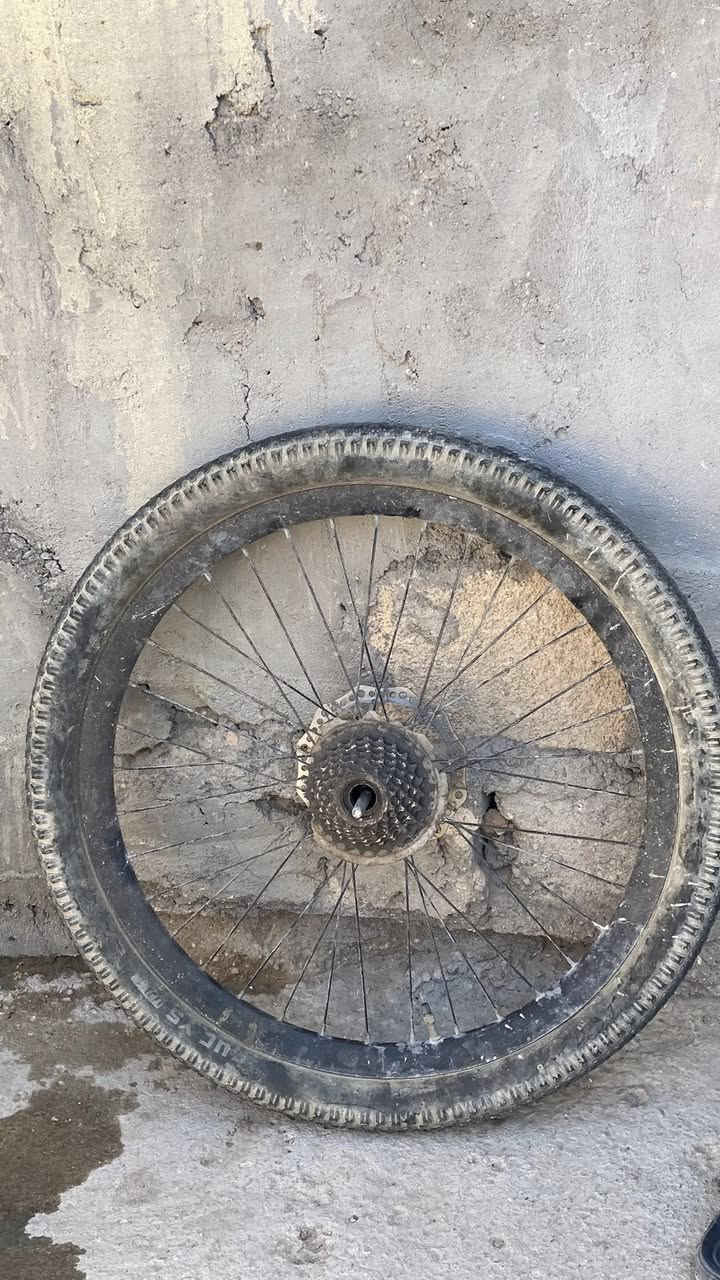 باسكل جبلي للبيع التاير الخلفي ما يشتغل ابيع كوم حديد ب 15 الف قفل قفل مكاني كربلاء الامن الداخلي


**إذا كنت صاحب هذا الإعلان وتريد حذفه لأي سبب، رجاءا أرسل رسالة إلى الدعم الفني**