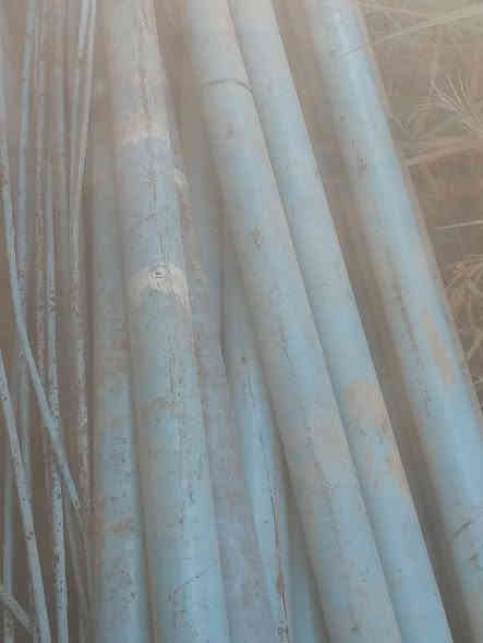 بوريات انظاف كلش 
الطول 4متر
العدد حوالي 25
اليريد يتصل ويدلل
***********
