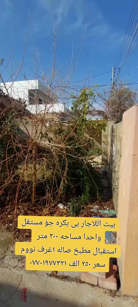 #اللبيعنية #فؤشتن #خانووبۆفرۆشتن #كوردستان #سلي #فرؤشتن #سليمانى


**إذا كنت صاحب هذا الإعلان وتريد حذفه لأي سبب، رجاءا أرسل رسالة إلى الدعم الفني**