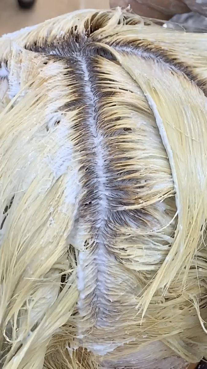 كوافيرة ضحئ تحرير فلكه لاخيره قرب جامع الانفال مقابل مطبعه بيروت دخل فرع


**إذا كنت صاحب هذا الإعلان وتريد حذفه لأي سبب، رجاءا أرسل رسالة إلى الدعم الفني**