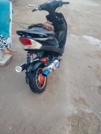 ماكس • عدله • مراوس عادي