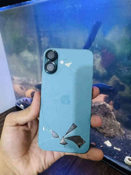 السلام عليكم اجهزه للبيع 

ايفون 12 برو ماكس 256 تخطي بدون سيمكارت ومبدل شاشه سعره 250 الف 

ايفون 12 عادي تخطي وبصمه وجه واكفه ذاكره 128 سعره 175 الف 

ايفون اكس عادي مفطور الكلاس و الضهر مكفول مامبدل شي كله شغال سعره 110 

ايفون اكس ار محور 16 عادي مكفول كله شغال ضهر مفطر سعره 135 الف 

لاستفسار واتساب *********** 

او تلغرام https://t.me/Zh_66i
