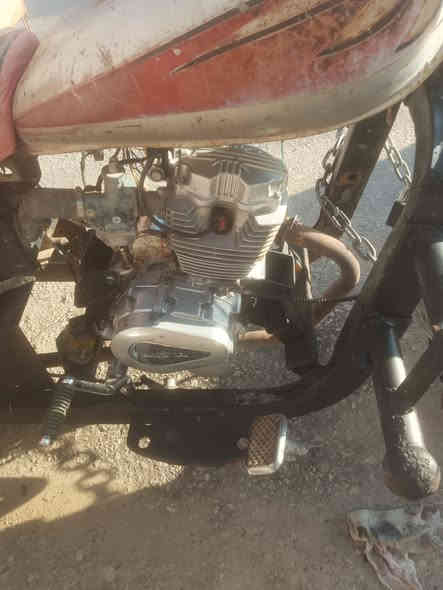 ستوته لبيع. راعي اصلي مندله 600 بيه مجال مكاني نجف ***********
