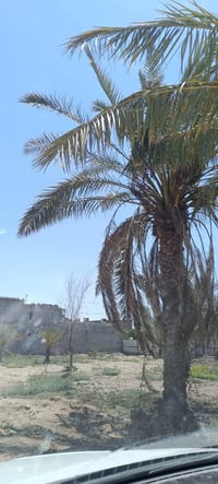 أبي الخصيب • البهادريه • ١٠٠٠م