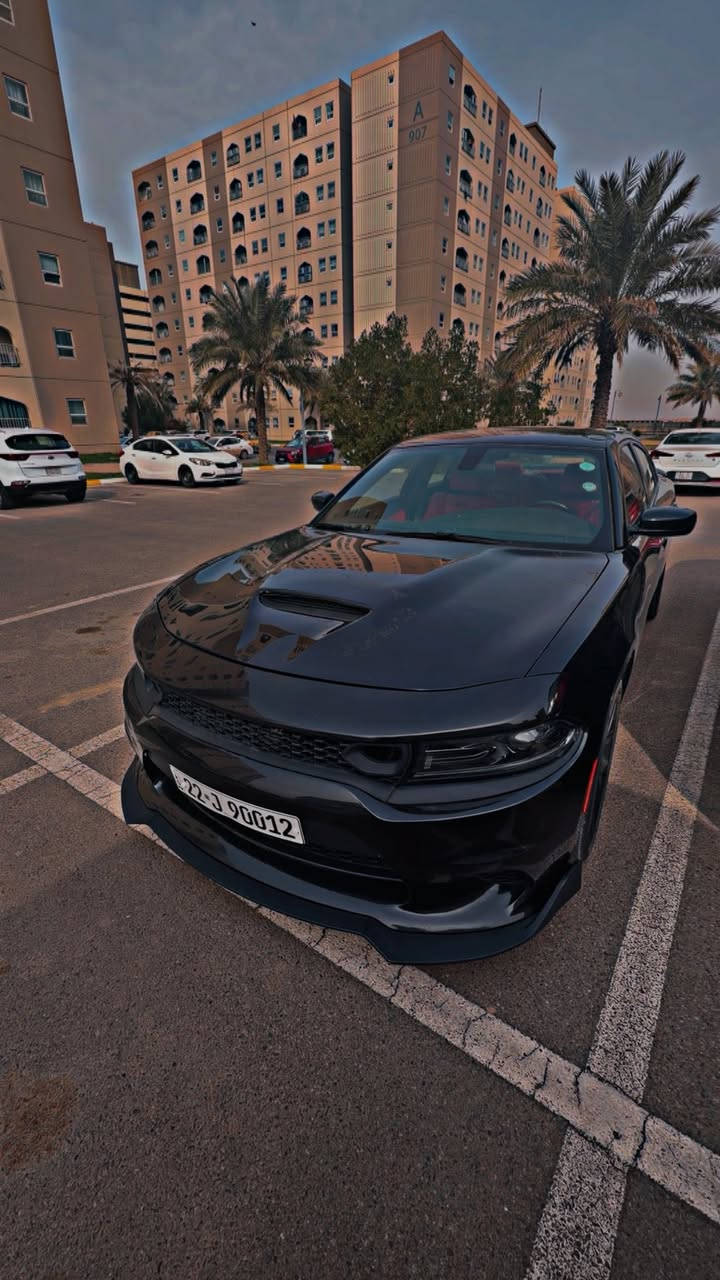 دوج جارجر 2022 /  ٦ سلندر
رقم اربيل بأسمي شخصيا 

محدث جيتي داخل وخارج

 السيارة بدون ايرباك بجم كبس 

شاشة جبيرة تحكمات ستيرن مقاعد كهرباء

داخل جلد احمر ماشية 31 الف ميل 

السيارة جديدة مابيهة اي نقص صدر كهربائيات مكينة كير لغد شاصي قمارة مكفول شرط الفحص 

بيهة بابين صبغ اثر شخوط مو ضربة وربع الجاملغ الخلفي عكس السايق 

السعر ٢٢٠ ورقة وبيهة مجال

***********  بغداد
