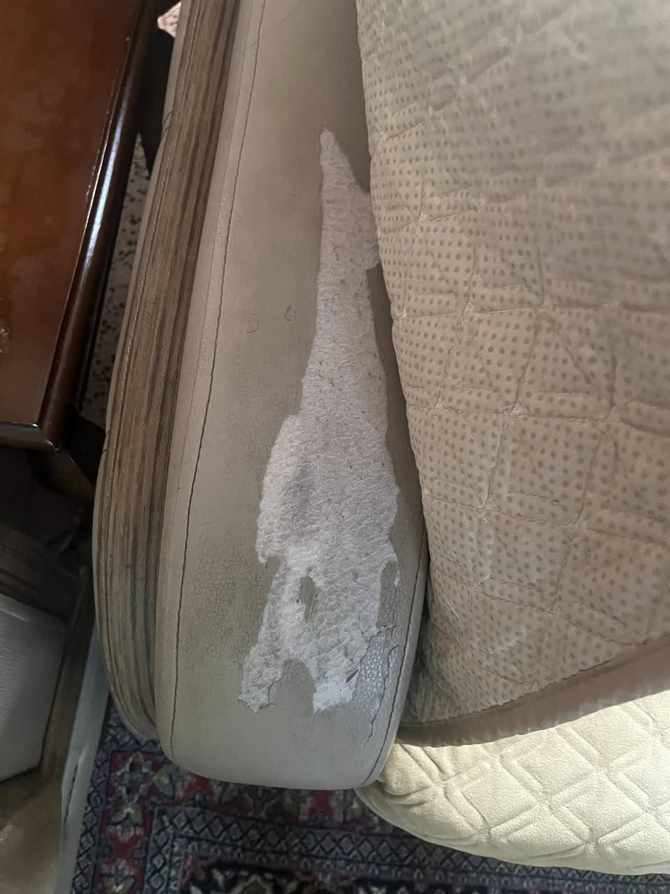 السلام عليكم عندي هذا الطخم للبيع كامل عشره نفرات مع الاسفل يصير مخازن ويصير سرير اذا ينفتح بس ثلاث يدات الجلد بيهم عيب فقط الكشنات جيده جدا وكلش ثقيل السعر ٣٠٠ الف المكان الموصل الي يفيده يراسلني خاص


**إذا كنت صاحب هذا الإعلان وتريد حذفه لأي سبب، رجاءا أرسل رسالة إلى الدعم الفني**