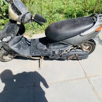 دولفين شغاله للبيع كوم حديد 07821530846 واتساب