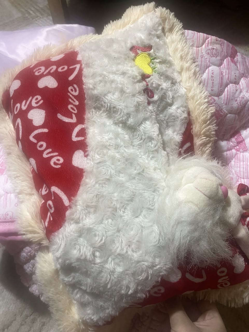 غراض اطفال كلهن ب١٠
مكاني حي سلام ماعندي توصيل


**إذا كنت صاحب هذا الإعلان وتريد حذفه لأي سبب، رجاءا أرسل رسالة إلى الدعم الفني**