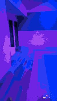 مزرعة رقم ☆212☆ مسبح مغلق داخلي ماء بخار مسبح عملاق للكبار والصغار .. ...