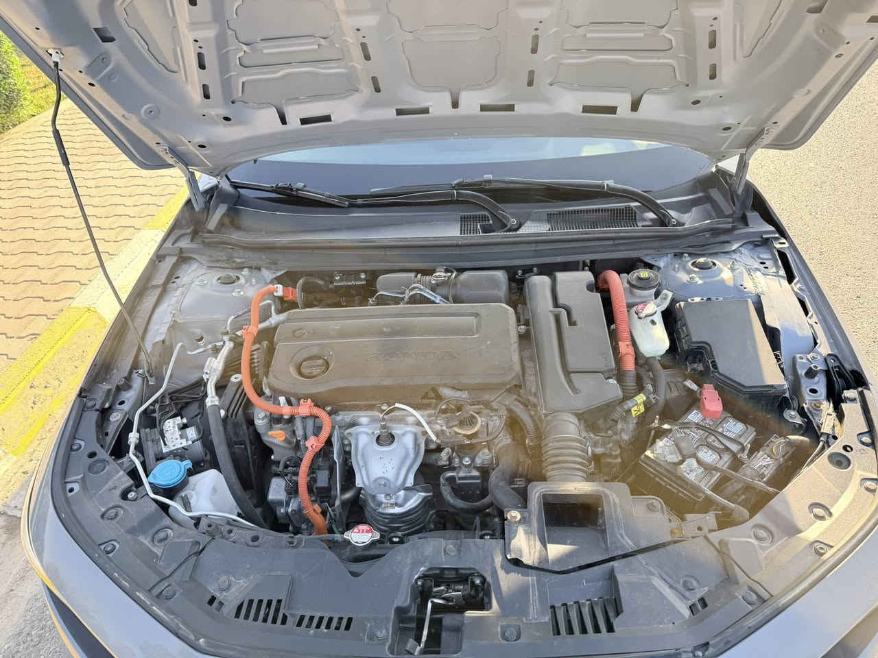 ياالله 
هوندا اكورد Exl 24
السيارة ماشية 58
﻿﻿مكينة 2000 هايبرد تنفس طبيعي
﻿﻿شفتات ستيرن
﻿﻿شاشة كبيرة
﻿﻿كشنات جلد
﻿﻿فتحة سقف
﻿﻿كاميرا خلفية
﻿﻿مانع تصادم
﻿﻿محدد مسار
﻿﻿تصحيح مسار
﻿﻿بصمه تشغيل ابواب
﻿﻿مثبت سرعة
﻿﻿مانع انزلاق
﻿﻿دخول ذكي
﻿﻿إنارة ترحيبية
﻿﻿هندبريك كهرباء
﻿﻿حساسات مطر
﻿﻿أوامر صوتية
﻿﻿3 أنظمة قيادة
تبريد قطعتين
حساس خلفي
كشنات اثنين كهرباء
السعر 170 ورقه بلاش $مجال بسيط

1HGCY2F63RA060263 رقم الشاصي
الاستفسار ***********

السعر مناسب  تره بس كمرك صار 38$

ملاحظه نقص رادار امامي فقط 
الرقم مجاني
