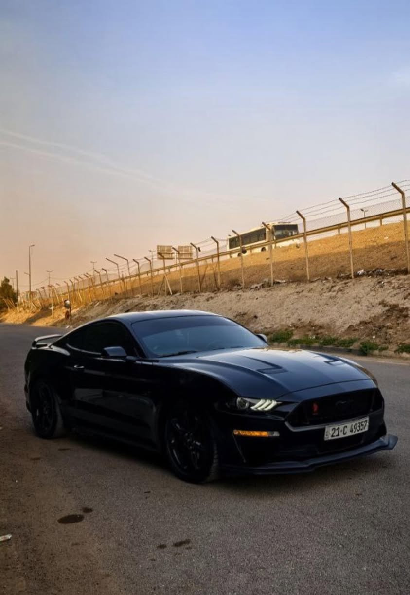 موستنك GT ( 5.0 ) 2019
موستنك GT للبيع ( 5.0 ) 10 speed ( 10 نمر )🚀

وارد كندي كلين تايتل مغلفه PPF بالكامل 

فقط نص شبر بالبنيد صبغ فقط لا غير 

ماشيه 48 الف مثل ما موضح بالصور

فول عدا الدجتل يجي العداد تحكم 7 الوان 

عليهه : 👇🏿

برمجه ارماند 

داون بايب 

ء H بايب 

دبات خلفيه HT بور بوابات

فيت ام AEM 

سستم دواخل كاربون فايبر بالكامل 

السياره لتقارنهه بالمهجومات نهائياً 

كفاله كير و مكينه شرط ! 

تجي واحطك على راسي وتاخذ بيهه تراي و تشوف كشرهه و نصبتهه و قوتهه 

السياره معروضه ب22،500 

وبيهه مجال للشراي 

***********
