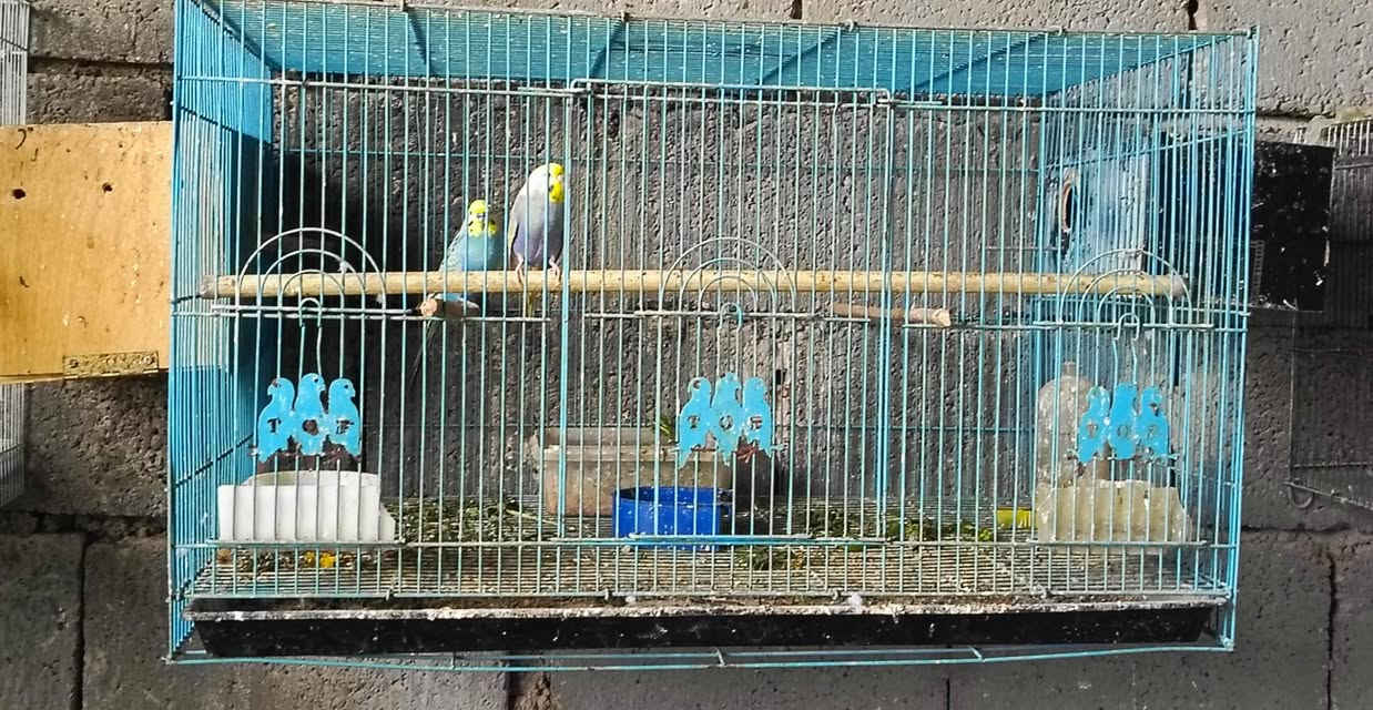 اللهم صل على محمد وآل محمد     متاح   اربع  خانات مستعمله         حي العباس


**إذا كنت صاحب هذا الإعلان وتريد حذفه لأي سبب، رجاءا أرسل رسالة إلى الدعم الفني**