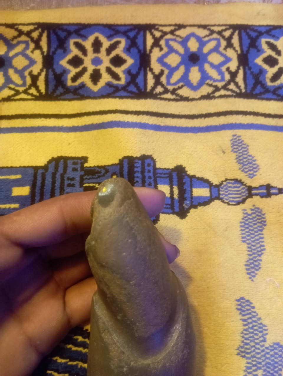 حجر سلطاني للبيع


**إذا كنت صاحب هذا الإعلان وتريد حذفه لأي سبب، رجاءا أرسل رسالة إلى الدعم الفني**