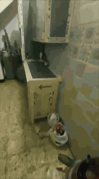 دار للبيع بناء قديم 
العنوان :كريطعه فرع الجامع 
المساحه:167متر
طابو زراعي سند 25
بيع مباشر 
السعر 70 وقابل للتفاوض 
للاستفسار :***********
                ***********
