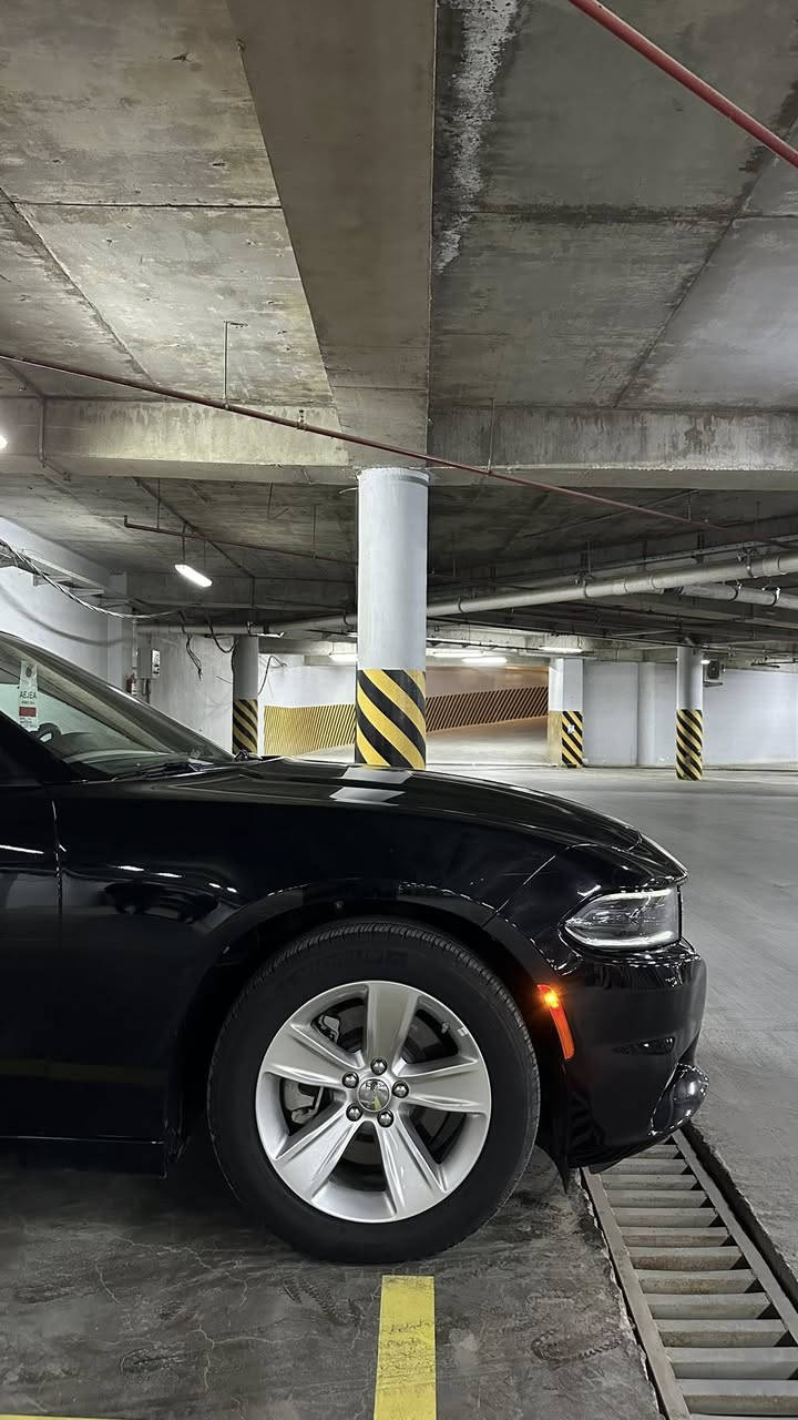 اللهم صلي على محمد وال محمد
جارجر 23 خليجي Last call كفالة عامة 
مواصفات الـ SXT معروفة
ماشيه 25 الف  
مغلفة ppf 
مكان السياره بغداد 
*********** تفاصيل اكثر هذا رقمي
