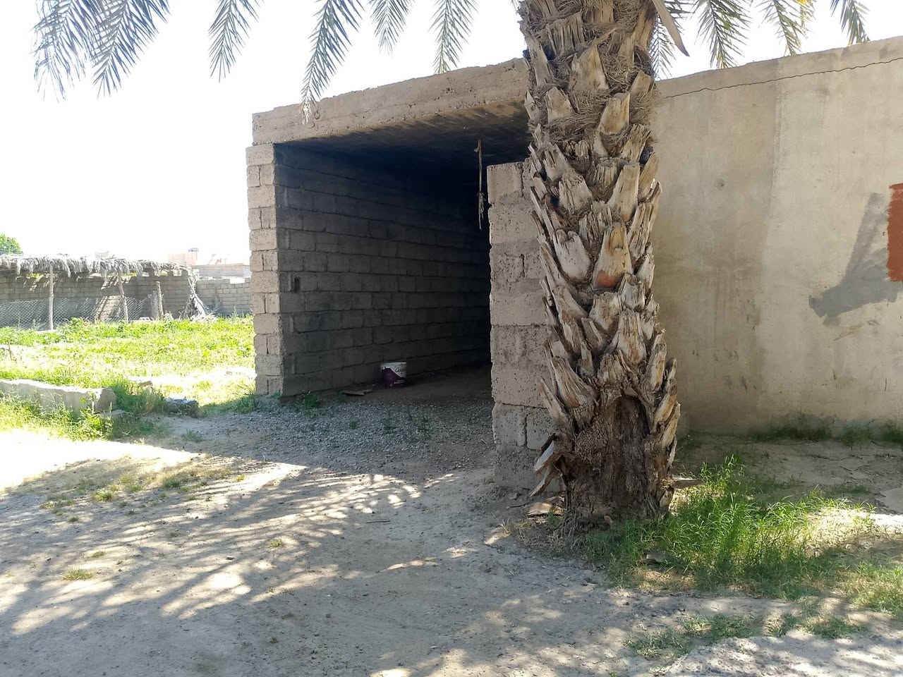 بــــــــــــسم الله الرحمن االرحيم 
والصلاة والسلام على رسول الله 
محمد وعلى آله وصحبة أجمعين 
#إعـــــــــــــــــــــــــــــــــــــــلان 
#بيـــــــــــت #للبيع أو #للأيجار 
التفاصيل: 
موقع 🌐البيت قرية السفينة فرع الجوير
قرب الشارع العام مسافة150متر
#الخدمات قريبه جداً جداً جداً 
المسجد مقابل باب 🚪البيت 
(مولدة+مدرسه ابتدائية ومتوسطه واعدادية) 

ربعــــــــــــة
3 غرف نوم 
هــــــــــــول كبير 
2 مطـــــــبخ داخلي وخارجي
4 صحيات 2داخلي 2خارجي
گراج سيارة 🚗
أشجار مثـمرة 
حديقة واسعة
سياج كامل مع باب حوش 
مساحة الأرض دونم إلاّ شيء قليل 
للأستفسار أكثر الإتصال على الرقم 
***********
صور البيت إدناه 👇
