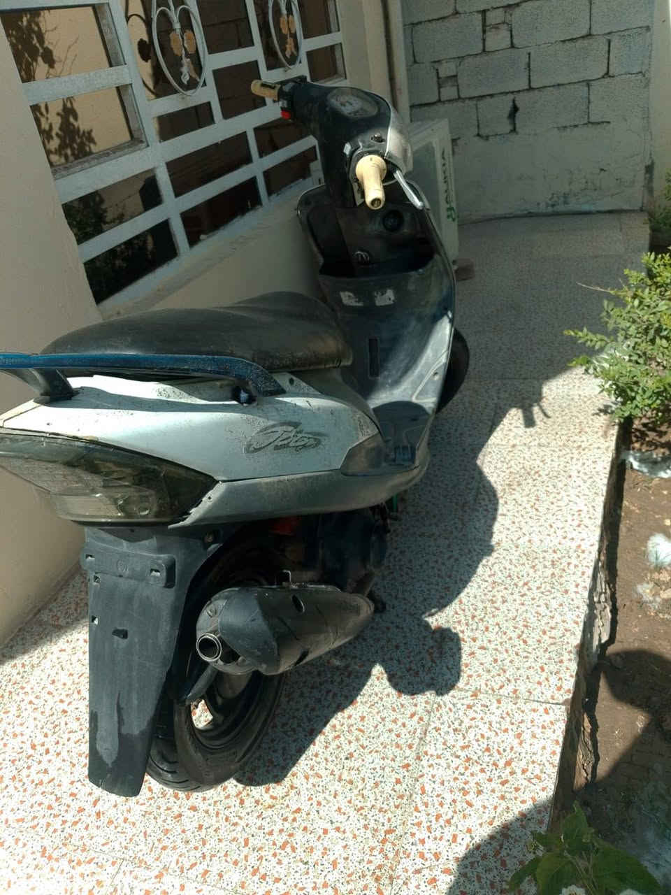 السلام عليكم  ماكس منغولي سلف هندر كهربائية كله شغال  شلعه معدل  تخبل دشبول شغال مكينه ناعه السعر 350 وبيه مجال  مكاني ديالي بعقوبه   لاستفسار عل رقم *********** بي واتساب
