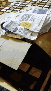 كبات موستنك • 15 انش • زيرو