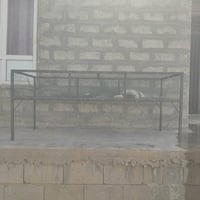 قفص • للبيع