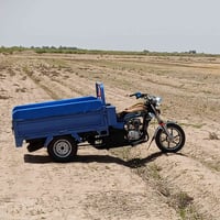 ستوته • ٢٠٢٣ • دوانيه