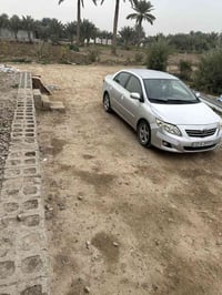 كورله خليجية • مكفولة • أبو غريب