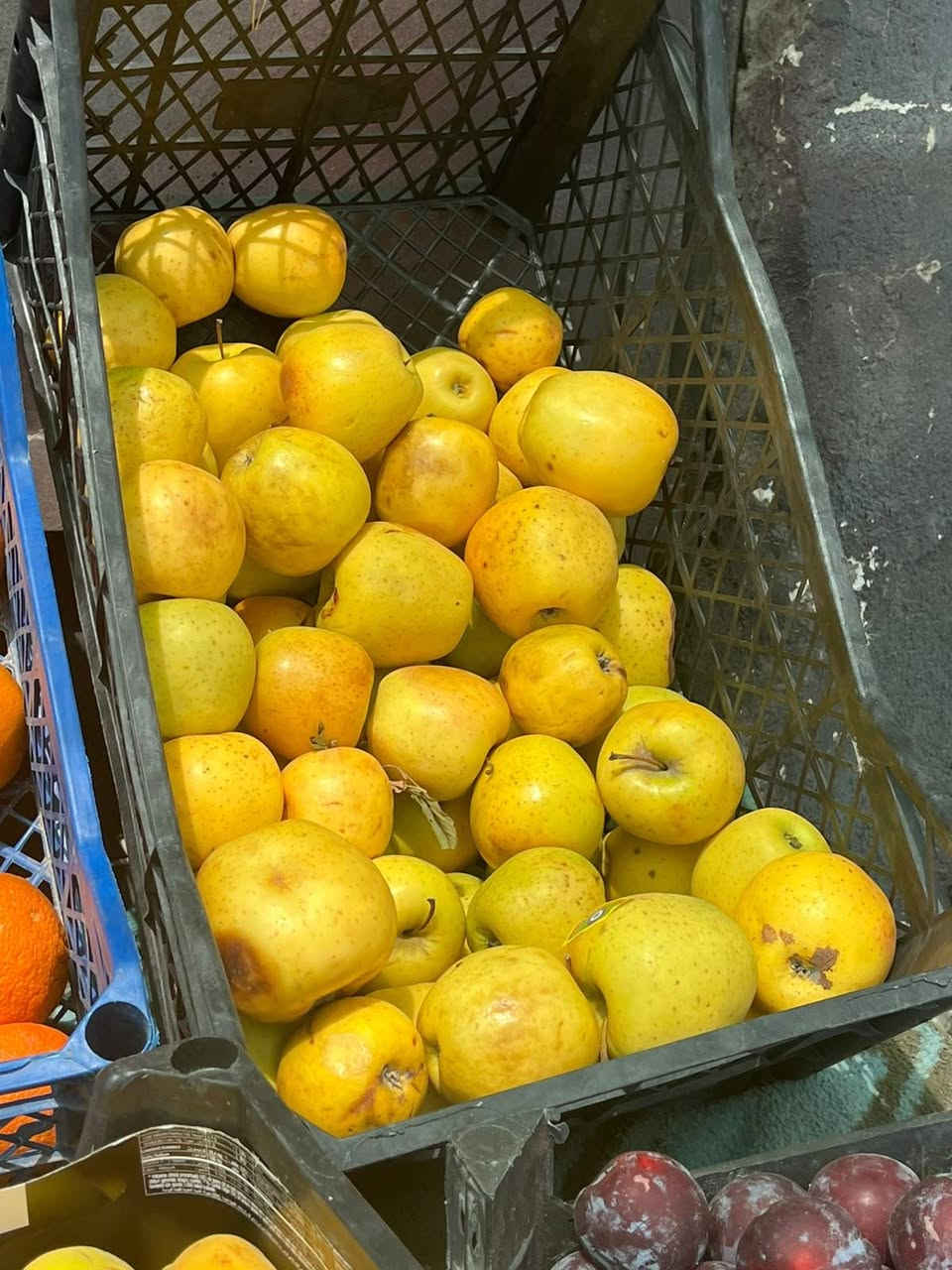 السلام عليكم
نعلن لكم (علوة العكلي)

صندوك الطماطه ١٥ كيلو ٤٠٠٠🍅
بطاطه          ٧٥٠.   ٣. الفين🥔
 بصل             ٧٥٠.   ٣ الفين
بيدنجان         ٧٥٠    ٣.  الفين🍆
خيار.              ٧٥٠.    ٣. الفين🥒
طماطه.            ٥٠٠🍅
شجر.              ٥٠٠🥒
طرعوزي.        ٥٠٠ 🥒

بطاطه جبسيه حمره ١٠٠٠🥔
جزر.          ١٠٠٠🥕
ثوم.         ٣٠٠٠🧄
فلفل بارد. ٢٠٠٠🌶
باميه.       ٧٥٠ 

ركي شرط ٥٠٠🍉
بطيخ ٥٠٠🍈

#الفواكه
عنب.      ١٠٠٠🍇
موز.       ١٥٠٠🍌
برتقال.    ١٥٠٠🍊
يوسفي.  ١٥٠٠🍊
تفاح.      ١٥٠٠🍎

خوخ.              ٢٠٠٠🍑
مشمش.            ٢٠٠٠            
اللو.                 ٢٠٠٠🫒
عنجاص.          ٢٠٠٠🍑

كرز                  ٤٠٠٠🍒
الليمون.           ٣٠٠٠🍋

الخضره 🥦🥬🫚
 تشكيله  ٥  أبألف
سلق ٥٠٠

العنوان الشرقاط مقابيل تل الحمدان مقابيل الاستداره قرب مخبز التل مقابيل ماركت الاسوار 

زورونا وحياكم الله


**إذا كنت صاحب هذا الإعلان وتريد حذفه لأي سبب، رجاءا أرسل رسالة إلى الدعم الفني**