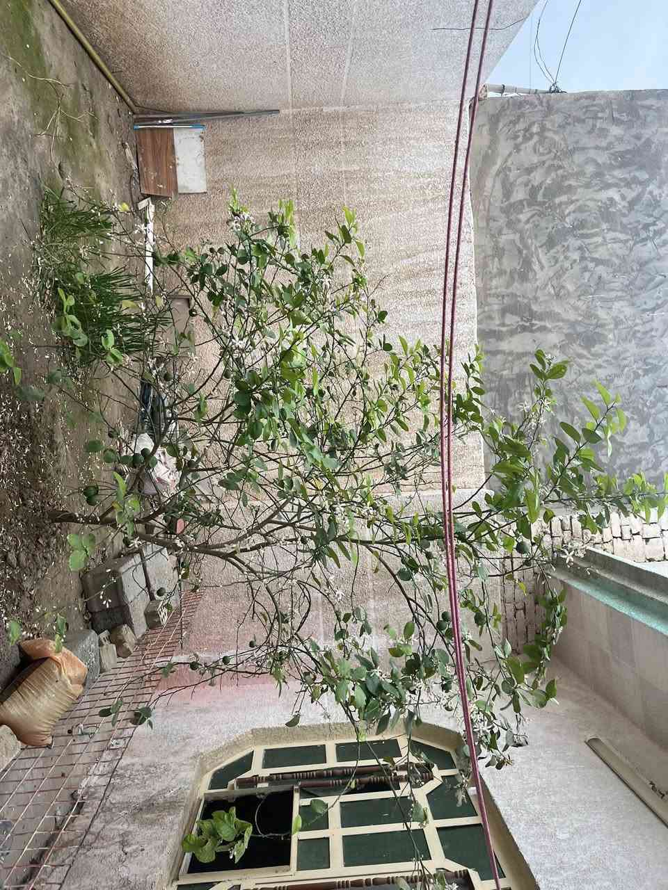 للبيع مشتمل حجة 

المساحة ١٢٥ متر

الموقع - قرب باسم دوبه - الفرع المؤدي الى منطقة باب السور 
 

يحتوي على

٢ غرف نوم  
صاله 
اسقبال 
حديقة 
سيراميك جداري وارضي السقف شيلمان ومسلح 
للاستفسار اتصل 
*********** - ***********
