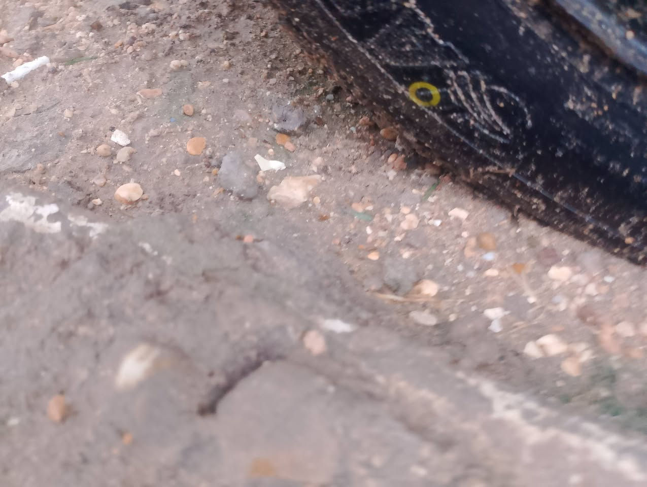 سلام عليكم سايبا 11 مشروع وطني رقم ميسان سنوية 28،كيرمحرك بور خير من الله تخم تاير جديد+سبير درام شفتات جدد رباتري جديد،، فقط انتبه صينيه الكلج خلصانه سيارة تمشي طبيعي تريد تبدل تريد تعوفه بكيفك تكلف 40الف راعيها ماواصلة السعر المطلوب 8ورقات قفل لتعامل ولاتكلي اني من من فلان محافظة وطرقي بعيد وحك جيه مشكلتك 
رقم الهاتف ***********
