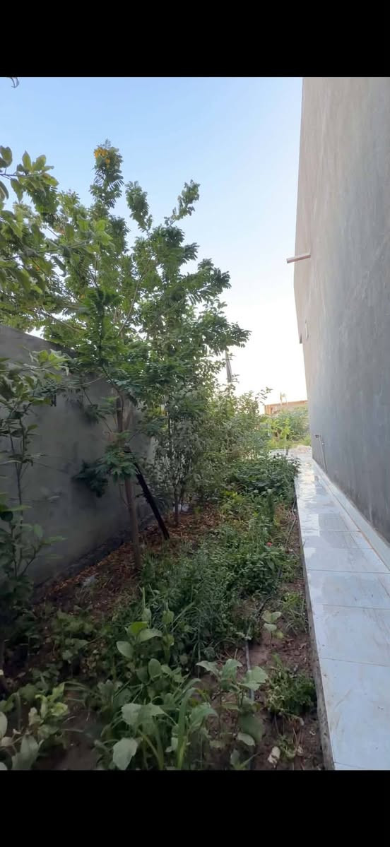 مكلف بالنشر
الدار للبيع المساحه 600متر
طابو زراعي سند 25
يحتوي على ثلاث غرف نوم وصالتين وصحيات داخل الغرف وصحيات خارجيه وداخليه ومطبخين مطبخ حار ومطبخ بارد
بناء حديث دراجة اولئ
العنوان حي السجاد شارع البزل ميت متر عن التبليط للاستفسار الاتصال على الرقم التالي
*********** بي وتساب  ابو رقيه
