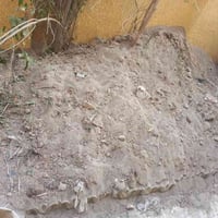 مجانا • زميج مخلوط • زين القوس