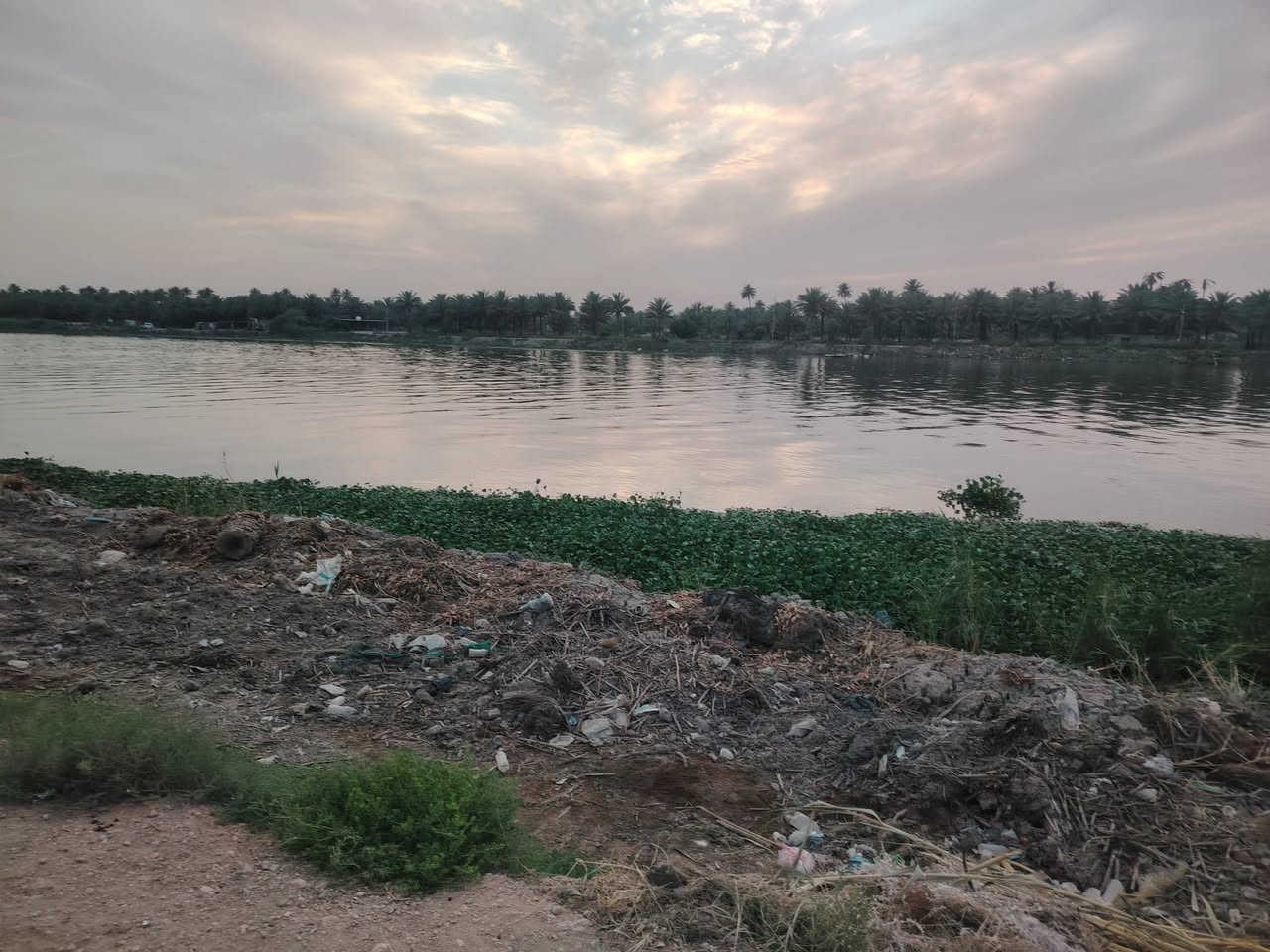من رخصت الادمن المحترم مزرعه 2 دونم تحويل مباشر بالطابو المسيب مباشر على الشط الفرات الاتصال ***********
