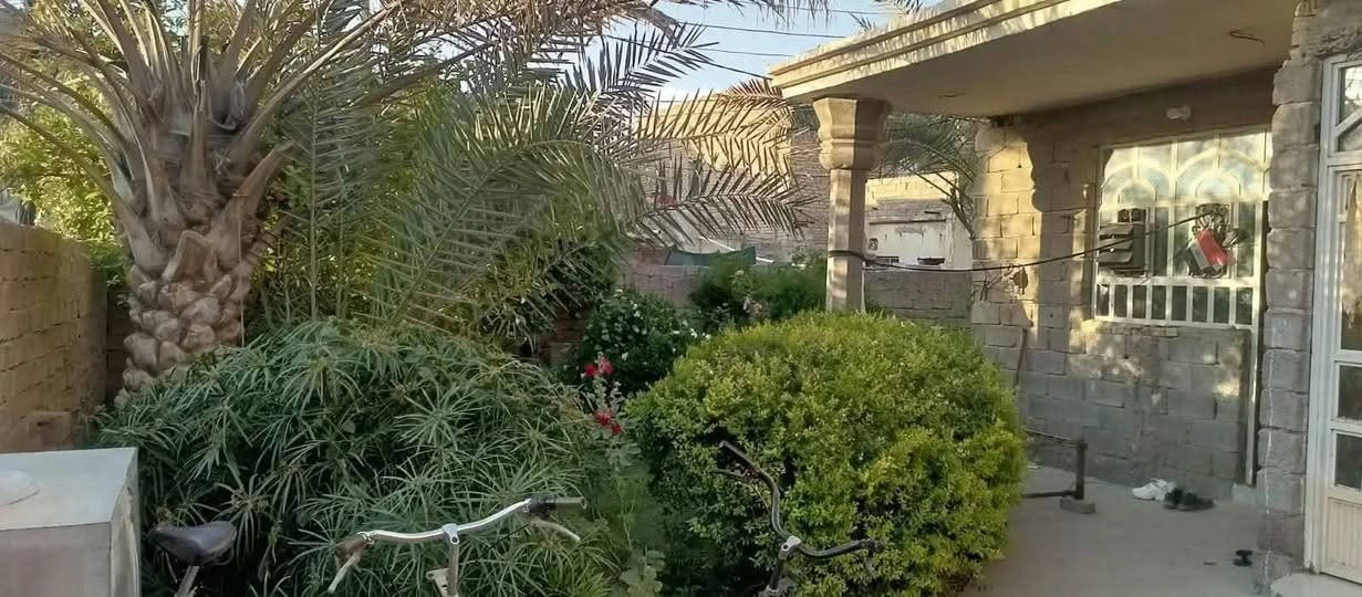 الدار للبيع في منطقةشفته
حته لو ينباع قطع ثنين يشتركون بي

