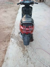 فراشه • نضيف • سلف
