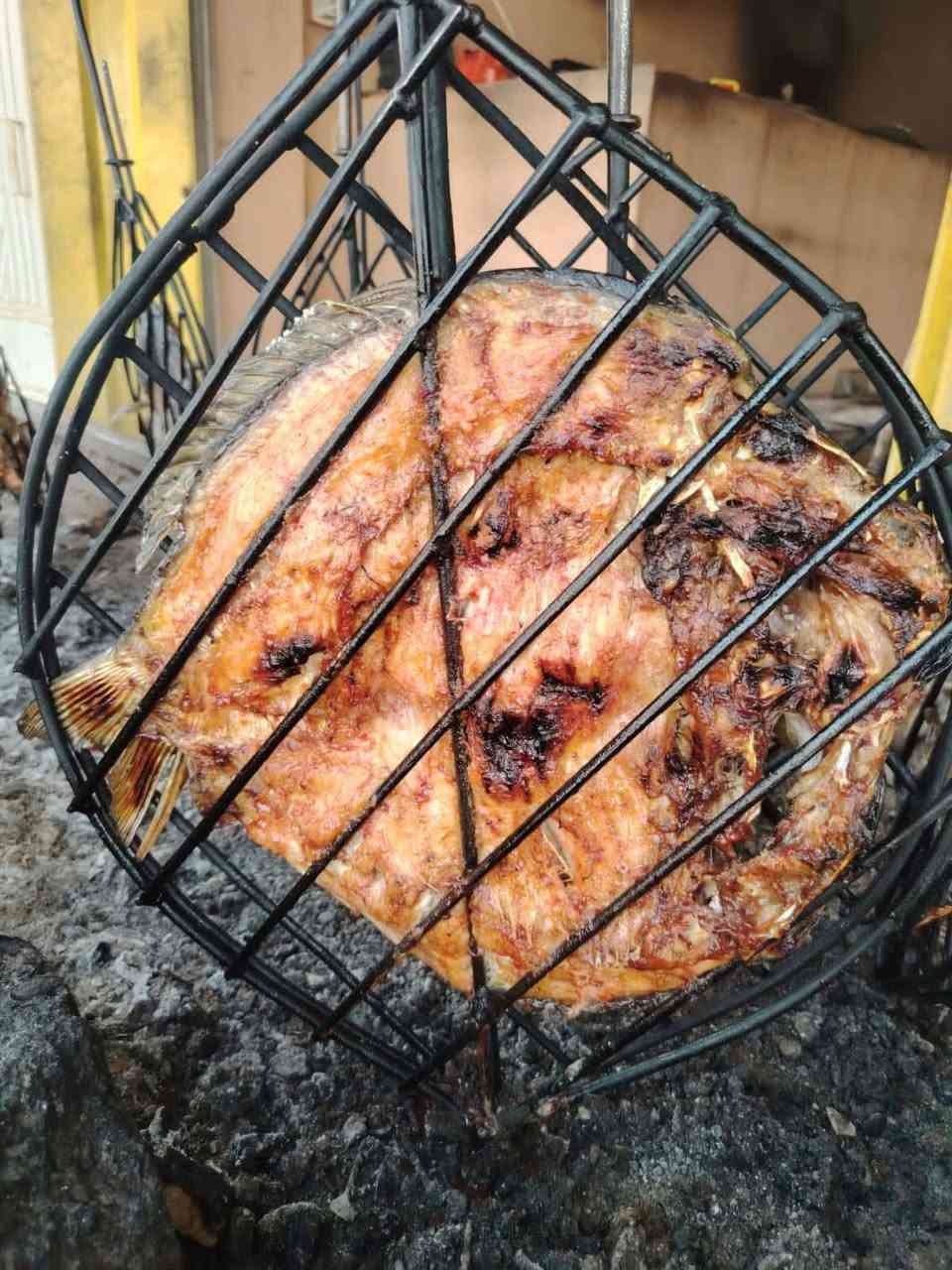 جمعه مباركه
يعلن مسقف ليث ال مهاوش
عن بيع السمك الحي بدون شوي٥٥٠٠
مع الشوي ٦٥٠٠
العنوان بيجي قرب مدرسه الفضيله للبنات
رقم هاتف 
رقم هاتف اوس ال مهاوش ***********
ليث ال مهاوش ***********
اوس ال مهاوش ***********/يوجد خدمه توصيل
