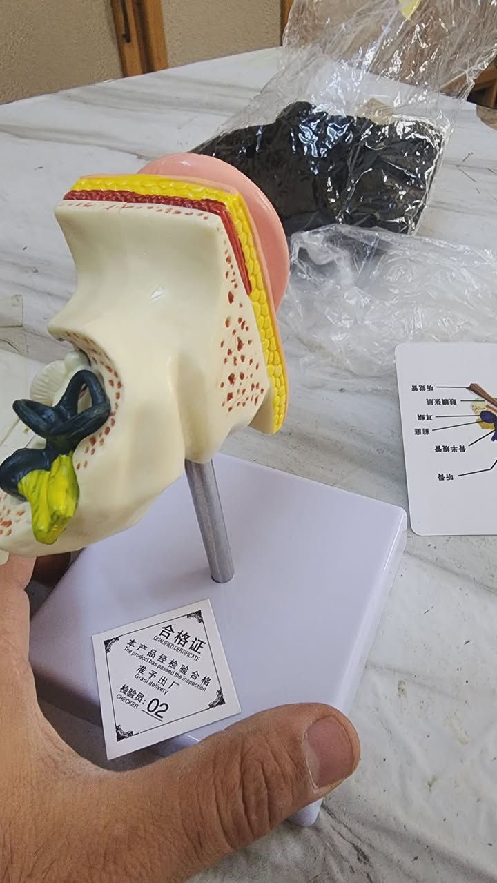 مجسم بهذا الشكل


**إذا كنت صاحب هذا الإعلان وتريد حذفه لأي سبب، رجاءا أرسل رسالة إلى الدعم الفني**
