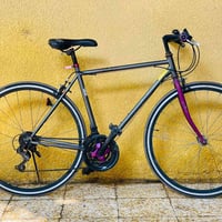 باسكل ياباني • باسكل رياضي • ابي الخصيب