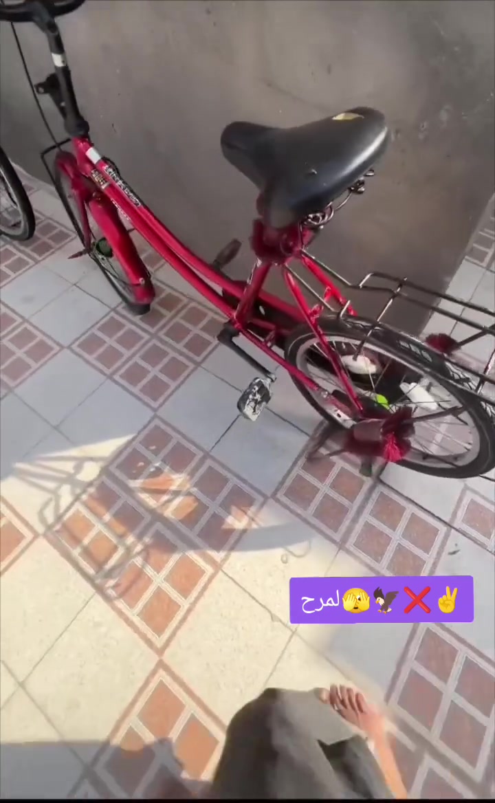 شباب للبيع ثنينهن مكاني بصره كرمت علي لواحد ب85 بيهن مجال


**إذا كنت صاحب هذا الإعلان وتريد حذفه لأي سبب، رجاءا أرسل رسالة إلى الدعم الفني**