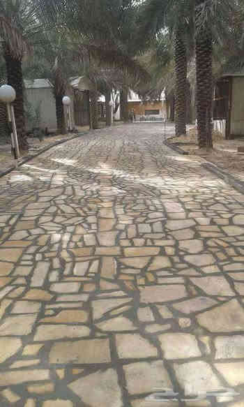 السلام عليكم يوجد كادر بناء الحجر تطبيك ارضيات 
عمل مسنايات الانهار حجر تغليف البحيرات وسواقي الماء الاستفسار والتفاصيل اتصال او تفضل على الخاص 
***********
