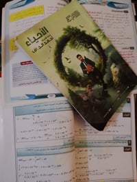ملازم • سادس علمي • حي العصري