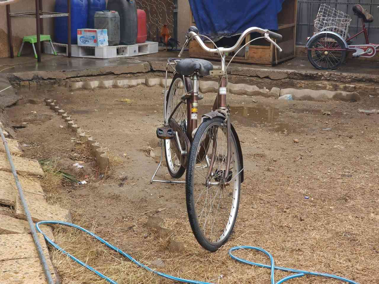 بايسكل ياباني للبيع✨️
.بايسكل ياباني حجم ٢٦ ✅️

.البايسكل قوي 💪
.يجي ويا جرس اصلي🛎
. ولايت تحكم ذاتي يعني من ادوس يمشي على حركه التاير🚨 واصلي😃
.مكان جلوس خلفي🚲

ورقم البايسكل موجود بل صور 👍🏻
فحص المواصفات عل نضر👁
السعر :١١٩ 
للاستفسار:***********
