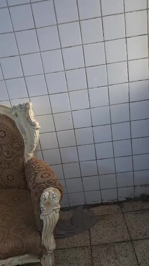 ٨م تركي بس غسل مابي ضرر ١٠٠ عامريه


**إذا كنت صاحب هذا الإعلان وتريد حذفه لأي سبب، رجاءا أرسل رسالة إلى الدعم الفني**