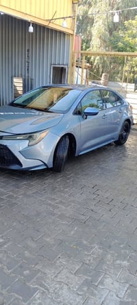 كورلا • ٢٠٢٣ • رقم نجف