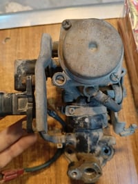 جويتر ثعلب كامل مال رمبة بلادي  للبيع السعر 60 الف مكاني بغداد الحرية ...