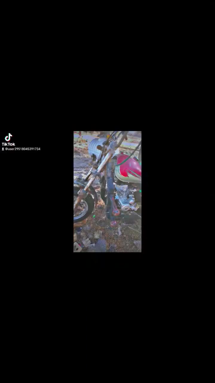 سلام عليكم ستوته امتيار للمروس وبيع اورقه ضيعه تعميره كله 25 محرك 25 ابو لهلال  سعر 750   *********** ////***********📞📞
