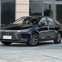 ديستروير • ٢٠٢٥ • أسود