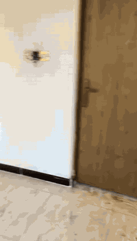 الزهور شارع ناظم الطيب • ٥٠م • سند ٢٥