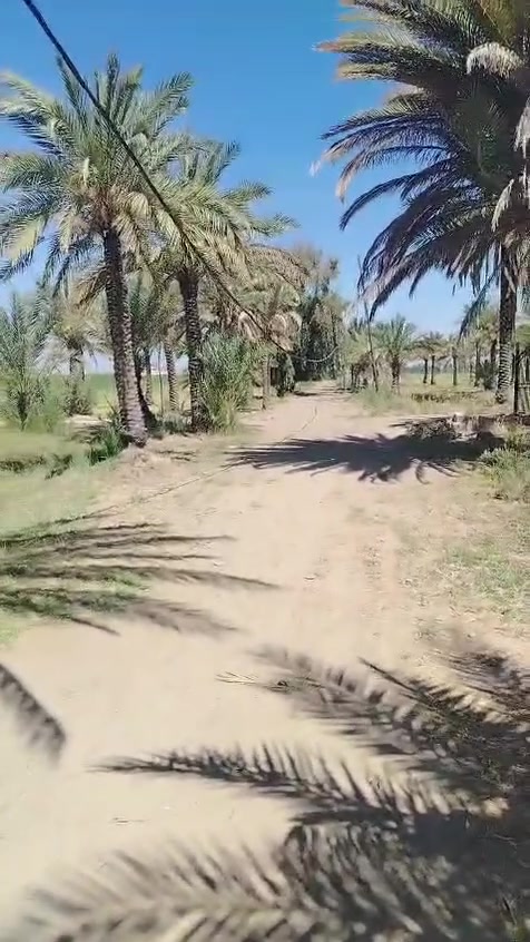 أرض زراعيه مسيجه
٥ دونم
يتوفر ماء اساله وسقي وكهرباء ومدارس
وتبليط بالباب
تبعد عن مركز المدينه ٥ دقائق
الرضوانيه شارع الاول للاستفسار على رقم ***********
