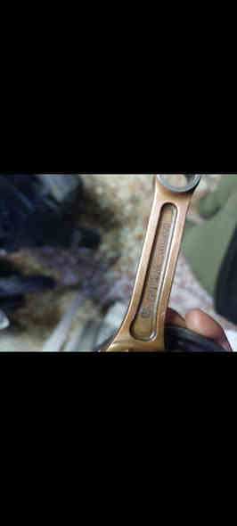 السلام عليكم حبايب 

رولات ماكس 1200 تتمارك 
1400جيسو 
توصيل موجود 
***********
